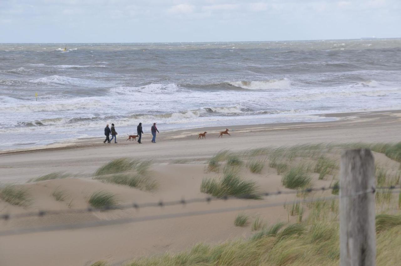 Homestay Dunes Side The Hague