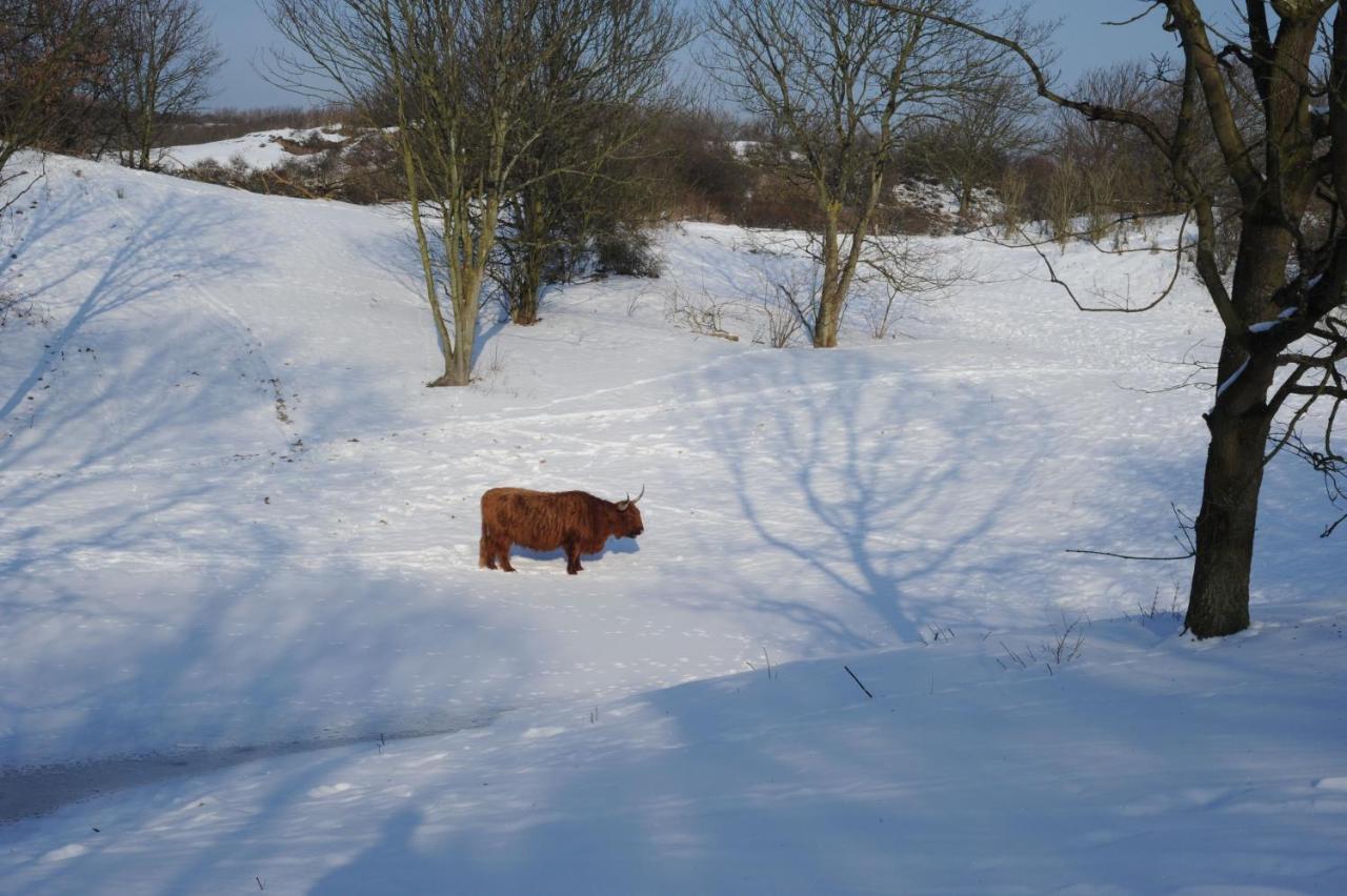 Dunes Side Accommodatie bij particulieren *