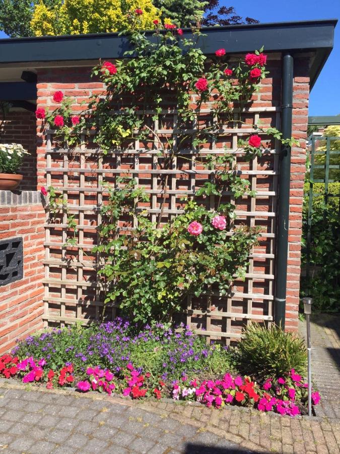 Dunes Side Accommodatie bij particulieren